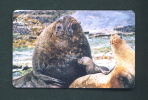 FALKLAND ISLANDS  -  Chip Phonecard As Scan - Falklandeilanden