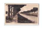 11 SALLELES AUDE Canal Du Midi, Pins, Arbres, Ed Blaché ERA, 193? - Salleles D'Aude