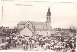 SANCOINS Champs De Foire - Sancoins