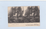 CPA Stereo - LONDRES - Hyde Park - Vues Stéréoscopiques Julien Damoy - Série N°2 - Stereoscope Cards