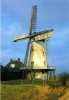 TEN POST Bij Ten Boer (Groningen) - Molen/moulin - Stellingmolen ´Olle Widde´ In 1973 Met Zelfzwichting Voor Restauratie - Otros & Sin Clasificación