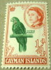 Cayman Islands 1962 Cayman Parrot 0.25d - Mint - Caimán (Islas)