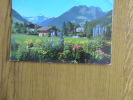 JARDIN DE PARKHOTEL REUTELER GSTAAD - Gstaad