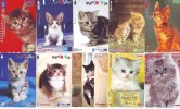 LOT 50 Telecartes + Prepayees Differentes Japon * CHATS * CATS  * KATZE * KATTEN (LOT 225) Prepaid Cards Japan - Collections