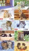 LOT 50 Telecartes + Prepayees Differentes Japon * CHATS * CATS  * KATZE * KATTEN (LOT 233) Prepaid Cards Japan - Collections