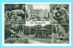 Postcard - ZOO-Wuppertal    (6403) - Wuppertal