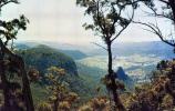 Numbinah Valley, Qld From Binna Burra - Kodachrome Unused - Other & Unclassified