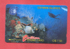 CAYMAN: CAY-3A 'Unterwater' Old Logo. 3CCIA (1991) - Kaimaninseln (Cayman I.)