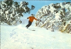 Etr - AUSTRALIE - Skiing Down The Slopes At Falls Creek Victoria - Semi Moderne Gd Format - Andere & Zonder Classificatie