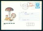 PS9284 / Mushroom  - HEN WITH CHICKENS 1992 Stationery Entier Bulgaria Bulgarie - Cuckoos & Turacos