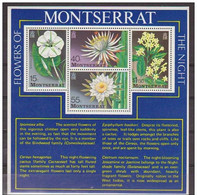 Montserrat 1977 Scott 369a Sellos ** HB Flora Flores De Noche Ipomoea Alba, Elpiphyllum Hookeri, Cereus Hexagonus - Montserrat