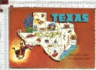 TEXAS -  Greetings From The Lone Star State  -  Illustrations - Autres & Non Classés