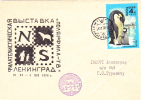 BEARS,OURS,PINGOUINS,SHIP EXPEDITION 1978 VERY RARE OBLITERATION ON  COVER RUSSIA TO ROMANIA. - Ours