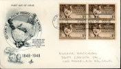 USA UNITED STATES 1948 FDC POULTRY PROGRESS ART CRAFT BIS - 1941-1950