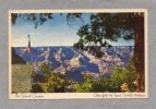 28230    Stati  Uniti,  Le  Grand   Canyon,  VG  1986 - Gran Cañon