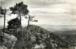 Var : Avr12 476 : La Garde-Freinet  -  Chaîne Des Alpes  Vue De La Croix  -  Semi-moderne 9x14 - La Garde Freinet