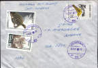 Romania-Envelope Circulated 1998-Tortoises - Schildpadden