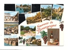 Cp, Régions, Souvenir De Bourgogne, Multi-Vues, Voyagée 1991 - Bourgogne