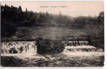 POISSONS BARRAGE DU RONGEANT 52 HAUTE-MARNE - Poissons