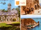 CP (GB-CI) SARK - La Seigneurie - S.7  - Cotman Color Series Jarrod .norwich 3 Vews 60's - Sark