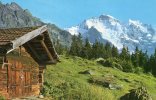 28268   Svizzera,  Wengen,  Jungfrau,  4167 M.,  NV - Wengen