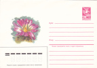 CACTUS, 1985, COVER STATIONERY, ENTIER POSTAL, UNUSED, RUSSIA - Cactus