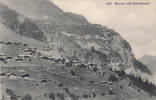 CPA Mürren Und Gimmelwald (pk11030) - Wald