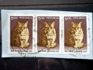 India - 2000 - Mi.nr.1759 - Used - Indian Heritage - Leopard Cat - Definitives - On Paper - Used Stamps