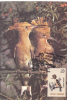 BIRDS, 1993, CM. MAXI CARD, CARTES MAXIMUM, ROMANIA - Spechten En Klimvogels