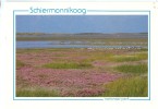 Holland, Netherlands, Schiermonnikoog, National Park, 1980s Used Postcard [P9068] - Schiermonnikoog