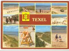 Holland, Netherlands, Texel, Multi View, 1981 Used Postcard [P9101] - Texel