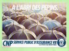 Publicité CNP - ASSURANCE VIE - A L'abri Des Pepins - Banques