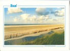 Holland, Netherlands, Texel, Strandimpressie, Used Postcard [P9117] - Texel