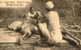 CHASSE A TIR Congo Belge Carte Entier Postal Dépouillement D'un Lion Gros Plan - Hunting