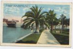 USA, Etats Unis, Tampa, Promenade Along Hillsboro River, Plant Park, CP Ayant Circulé En 1923 - Tampa