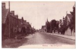 BRIOUZE ( Orne )  Rue D'Argentan  ( Cpa En Bon état...) - Briouze