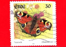 IRLANDA - Usato - 2000 - Farfalla - Peacock Butterfly (Inachis Io) - 30 - Gebruikt