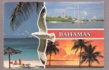 Bahamas - Vacation Paradise - Bahama's