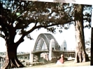 AUSTRALIA SYDNEY HARBOUR BRIDGE  FROM  OBSERVATORY HILL N1970  DS1534 - Sydney