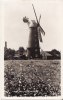 ALFORD - ( Angleterre ) - Five Sail Mill - Moulin à Vent - Avec Eolienne - ( 2 Scans -) - Autres & Non Classés