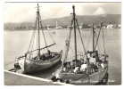 S BENEDETTO DEL TRONTO, Ascoli Piceno, Italia: Il Porto; Bateaux De Pêche + Cachet MARITIMA / Maritime,1962, B/TB - Ascoli Piceno