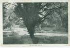 Uccle - Ukkel :Maison De Santé D'Uccle :Un Coin De Jardin - Uccle - Ukkel