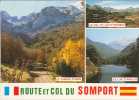 CPM 64 - Col Du Somport - La Montée Au Col - Col Du Somport