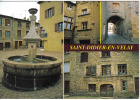 Carte Postale 43. Saint-Didier En Velay  La Fontaine  La Toune  Trés Beau Plan - Saint Didier En Velay