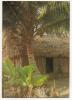 - SOUTHERN NIGERIA.  Traditional House In Coastal Area. - - Niger