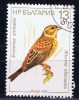 BG+ Bulgarien 1987 Mi 508 Vogel - Used Stamps