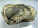 MOULE FOSSILE 6,5 X 4 CM FRANCE - Fossiles