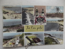 Cp " Ici On Peche "cote De Jade Tharon -port Giraud-st Michel- Le Cormier - Greetings From...