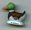 FEVES - FEVE - LE CANARD - MATE - Dieren