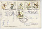 PO4050B# S.MARINO  VG 1974 Serie Uccelli - Lettres & Documents